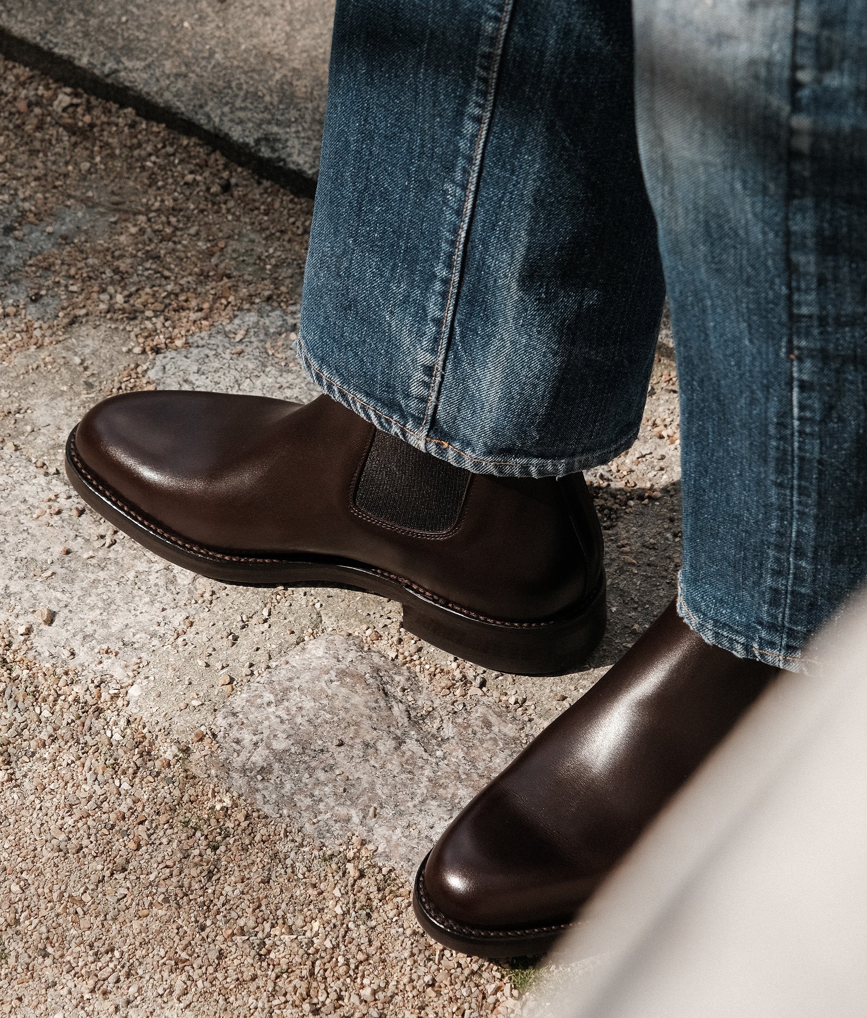 Basile Dainite - Image 7